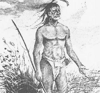 Cochise, by Samuel W. Cozzens
